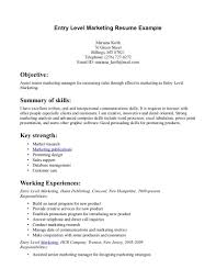 Account Manager Marketing Executive Resume Example Free Download     VisualCV