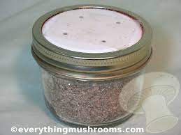 mushroom cake substrate jars