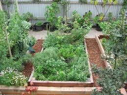 A Way To Design An Efficient Garden