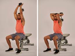 overhead triceps bodi extension