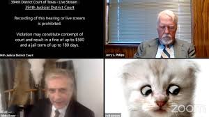 It is not intended for promotion any illegal things. I M Here Live I M Not A Cat Lawyer Stuck On Zoom Kitten Filter During Court Case Video Technology The Guardian