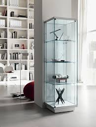 Display Cabinet Glass Cabinets Display