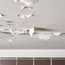paint a ling bathroom ceiling