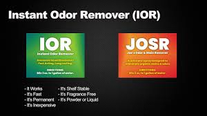 permanently remove pet urine odor