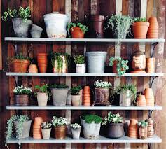 why terracotta pots make the best
