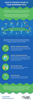how to prevent algae in your swimming