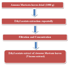 Preparation Evaluation Of Annona Muricata Extract Against