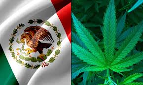 In 2015, the legal status of cannabis in the united states is rapidly changing towards legalization for recreational and medical use. Mexico S President Says Legal Marijuana Is About Freedom As Legislation Advances In Congress Marijuana Moment