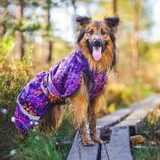 toppapomppa warm winter coat for dogs