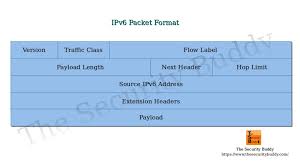 ipv6 packet format the security buddy