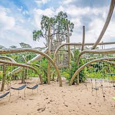 singapore botanic gardens guide 2023