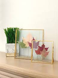Glass Frame For Pressed Flowers Leaf