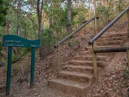 mount coot tha lookout in brisbane all