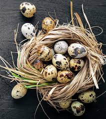health benefits of quail egg nutrition