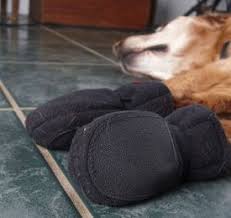 no slip indoor dog boots save your floors