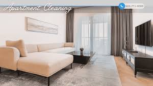 apartment cleaning best cleaning