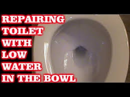 is your toilet water level low fix