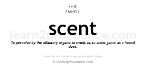 unciation of scent definition of