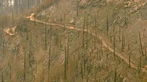 Image result for columbia river gorge fire