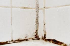 Is Mold Lurking Under Your Tile