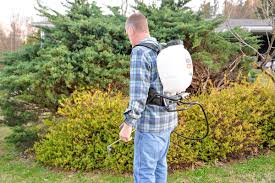 the best backpack sprayers of 2023