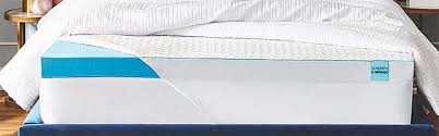 costco mattress topper customer