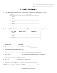 Protein Synthesis Worksheet For 9th 12th Grade Lesson Planet