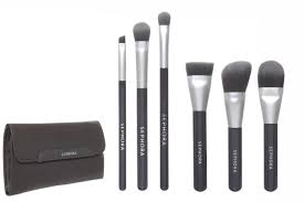 a deluxe antibacterial brush set for