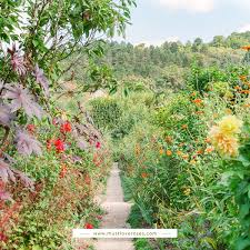 Garden In Giverny France