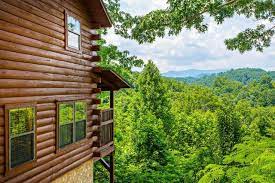 pet friendly cabins in sevierville tn