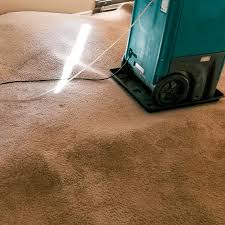 fort lauderdale carpet cleaning