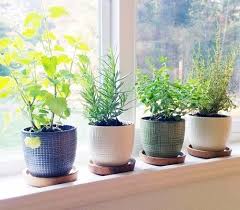 How To Make A Windowsill Herb Garden