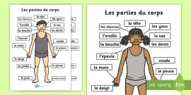 Do you ever wonder what the major organs of the body are and. French Body Parts Labeling Worksheet Teaching Body Parts Twinkl