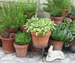 33 Best Herb Garden Ideas How To