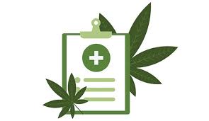 What conditions qualify for a medical marijuana card in georgia? How To Get A Medical Marijuana Card In Pennsylvania Marijuana Issue Pittsburgh Pittsburgh City Paper