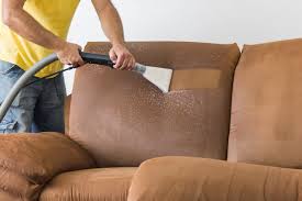 a professional carpet cleaning in salt