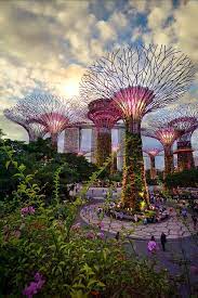 gardens by the bay singapore dotz soh