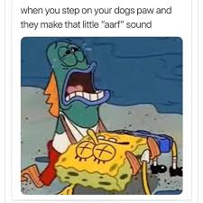 Collection by gracja coutts • last updated 2 weeks ago. Got A Dog Problem And About To Give Up Funny Spongebob Memes Funny Relatable Memes Funny Jokes