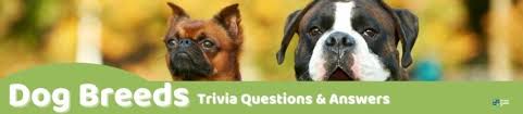 Instantly play online for free, no downloading needed! 71 Fun Dog Trivia Questions And Answers Group Games 101
