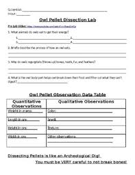 Owl Pellet Bone Chart Worksheets Teaching Resources Tpt