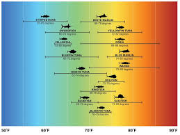 Sea Surface Temperature And Saltwater Fishing The