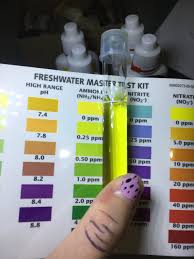 Help Reading Ammonia On Api Freshwater Test Kit My