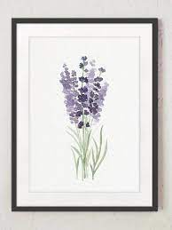 Lavender Set 3 Print Art Prints Canvas