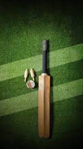 aesthetic cricket bat and ball