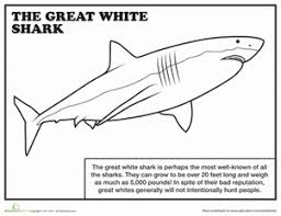 See also these coloring pages below: Great White Shark Coloring Page Geez Gwen