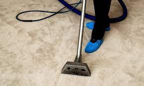 carpet cleaning edmonton carpet
