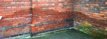 What Is Rising Damp How To Identify