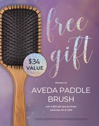 free gift receive a aveda paddle brush