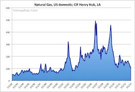 U S Natural Gas Price 1991 2010