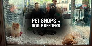 The price of dog grooming starts around $40 for a full grooming service for a small dog, and around $75 for a large dog. Buying A Puppy Pet Stores Vs Dog Breeders Breeding Business
